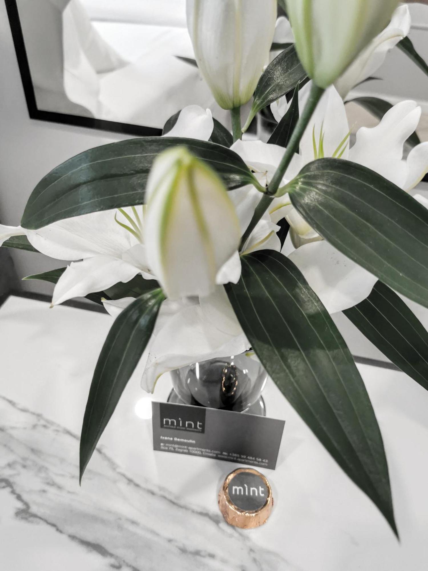 Mint Boutique Studio Apartments Zagrzeb Zewnętrze zdjęcie